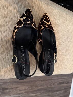 Sole Society Leopard-Print Pointed Slingback Flats